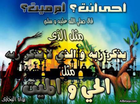 asalamo 3alaykom wa rahmato llahi wa barakatoho